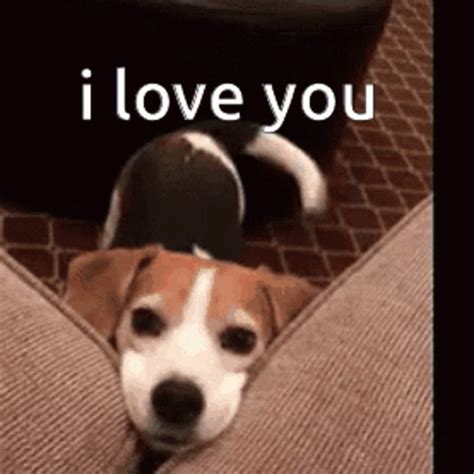 gif i love you funny